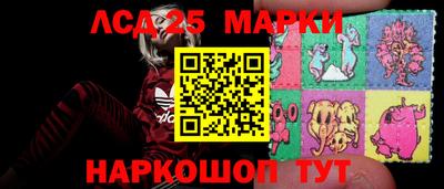 стаф Можга