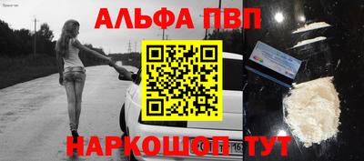 стаф Можга