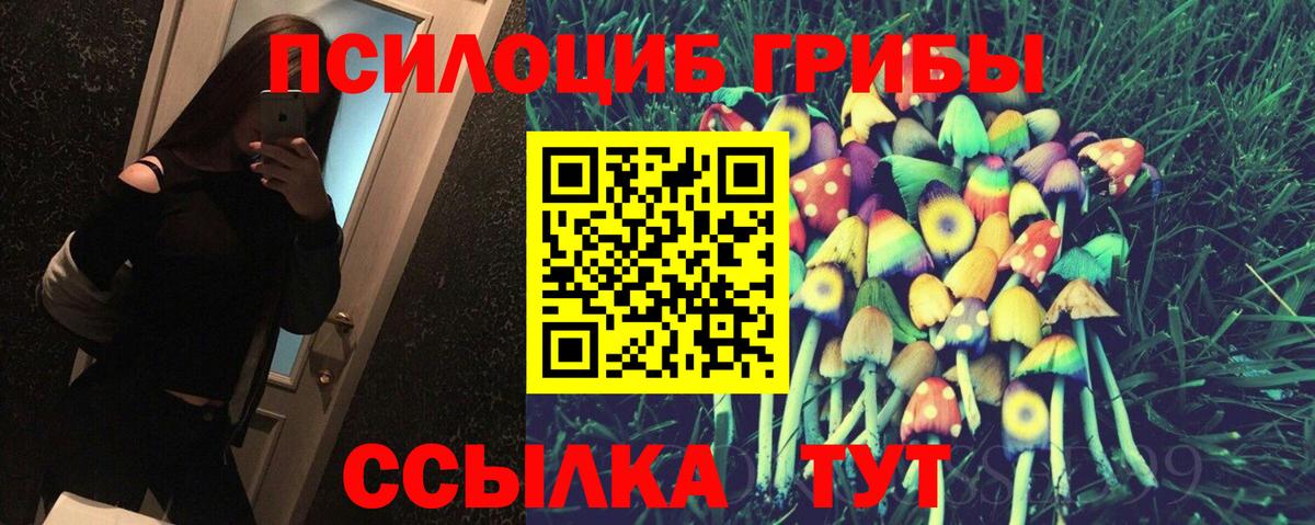 Псилоцибиновые грибы GOLDEN TEACHER Гусев